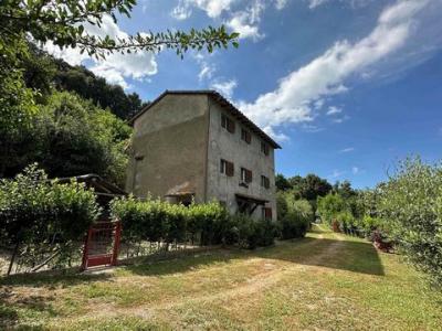 Annonce Vente Maison Sassetta