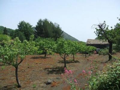 Acheter Maison Trecastagni rgion CATANIA