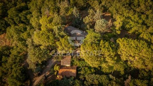 Acheter Maison Magione rgion PERUGIA