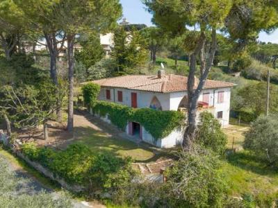 Acheter Maison 310 m2 Montescudaio