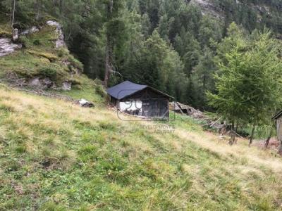 Acheter Maison 97 m2 Brennero