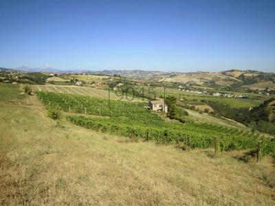 Annonce Vente Maison Offida