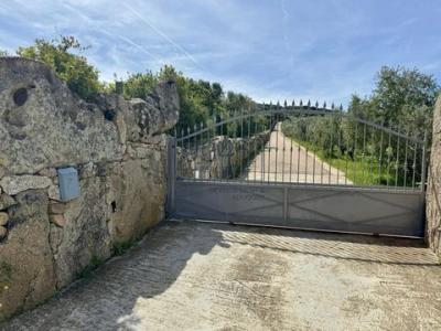 Acheter Maison 450 m2 Palau