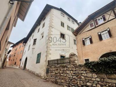 Acheter Maison 417 m2 Aldino