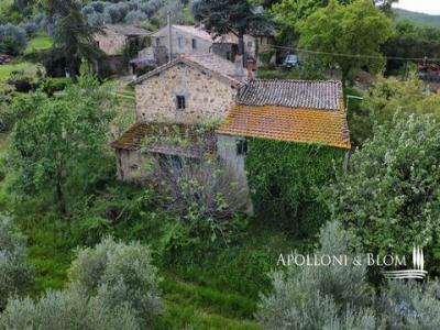 Acheter Maison Bagni-san-filippo rgion SIENA