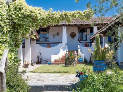 Annonce Vente Terrain Galtelli