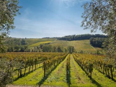 Annonce Vente Maison Siena
