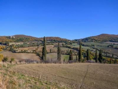 Acheter Terrain Asciano rgion SIENA