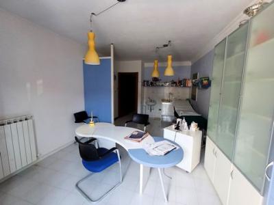 Acheter Appartement 66 m2 Papiano