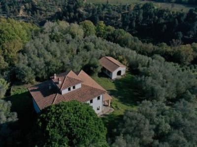 Acheter Maison 426 m2 Palaia