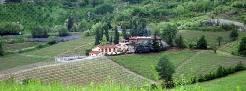 Annonce Vente Terrain Cremolino