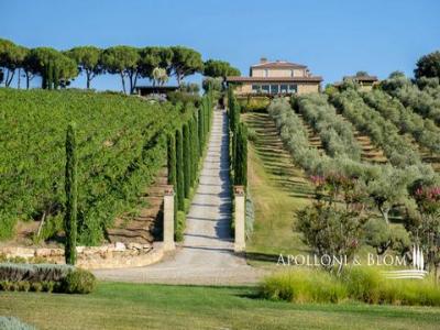 Annonce Vente Terrain Massa-marittima