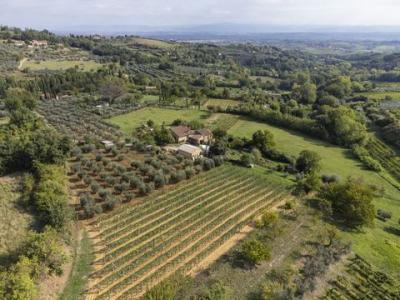 Annonce Vente Maison Montepulciano