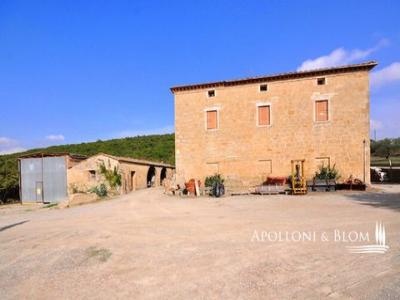 Annonce Vente Terrain Pienza
