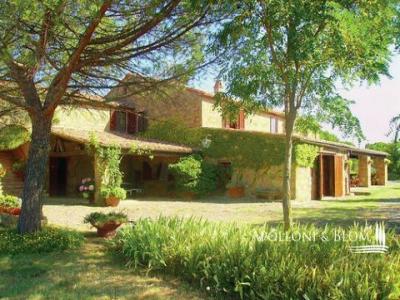 Acheter Maison Pienza rgion SIENA