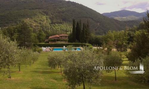 Annonce Vente Maison Castel-focognano