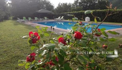 Acheter Maison 1000 m2 Castel-focognano