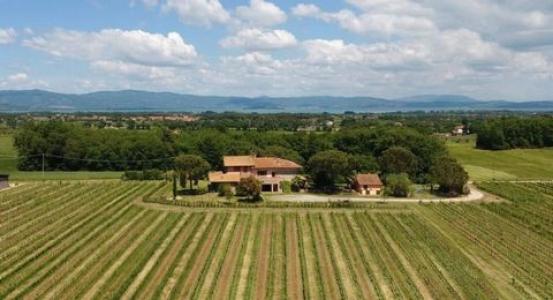 Annonce Vente Terrain Castiglione-del-lago
