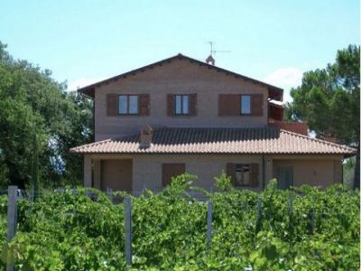 Acheter Terrain 32767 m2 Castiglione-del-lago