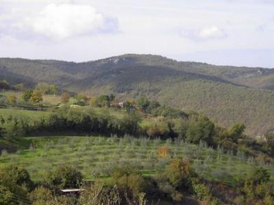 Acheter Terrain Radda-in-chianti rgion SIENA
