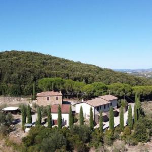 Vente Terrain MONTALCINO  SI en Italie