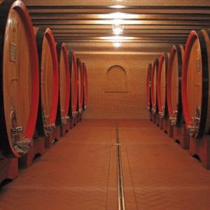 Annonce Vente Terrain Montalcino