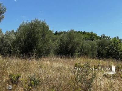 Acheter Maison Parrano rgion TERNI