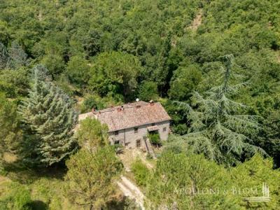 Acheter Maison Radda-in-chianti rgion SIENA