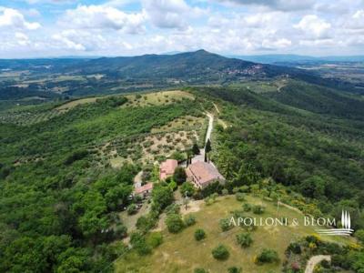 Acheter Maison 680 m2 Panicale