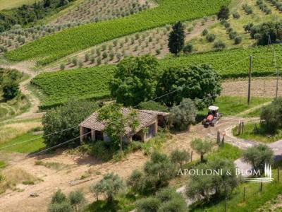 Vente Terrain ASCIANO  SI en Italie