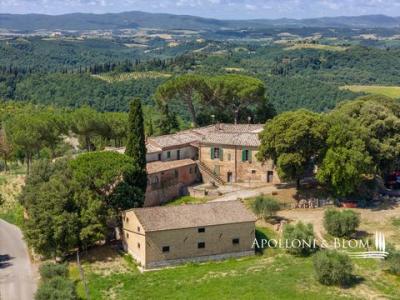 Annonce Vente Terrain Asciano