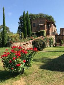 Acheter Maison 238 m2 Citta-della-pieve