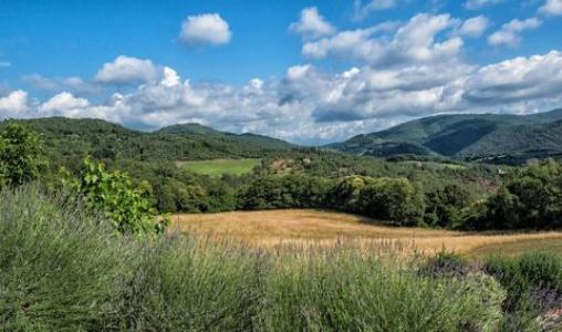 Acheter Maison Greve-in-chianti rgion FIRENZE