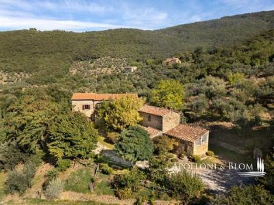 Annonce Vente Maison Cortona