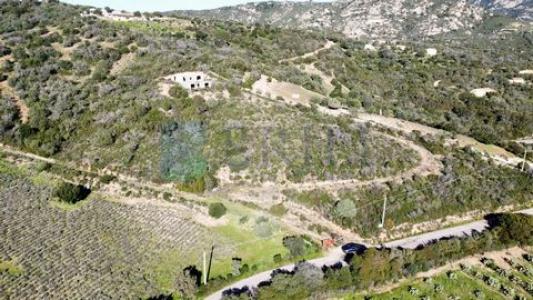 Annonce Vente 7 pices Maison Olbia