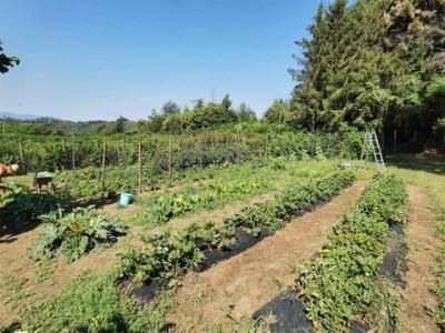 Vente Maison AVAGLIO  PT en Italie