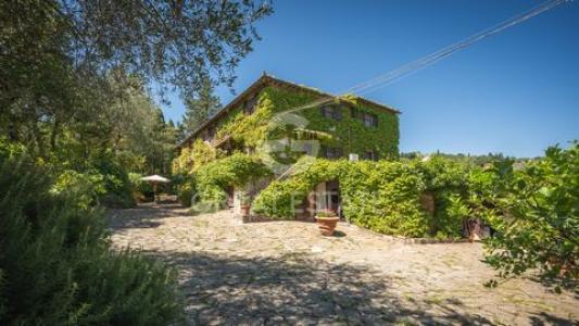 Acheter Maison Castellina-in-chianti rgion SIENA