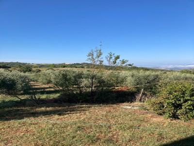 Acheter Maison 300 m2 Monticello-amiata