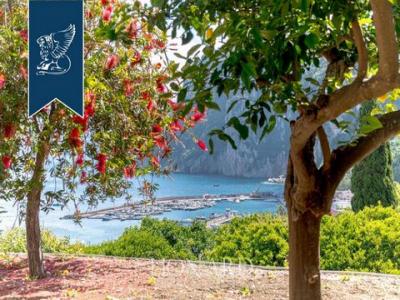 Acheter Maison Capri rgion NAPOLI