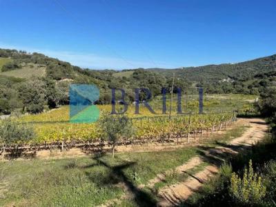 Acheter Maison 150 m2 Luogosanto