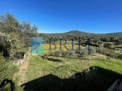 Acheter Maison Luogosanto rgion OLBIA-TEMPIO