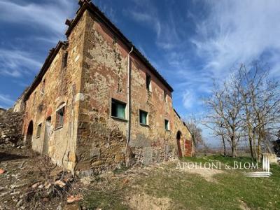 Acheter Maison Torrita-di-siena rgion SIENA