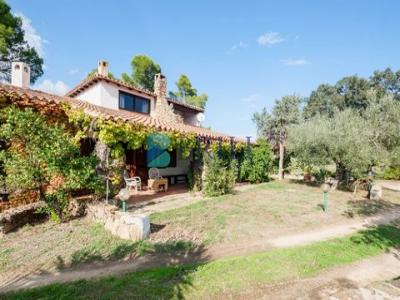 Annonce Vente 11 pices Maison Olbia