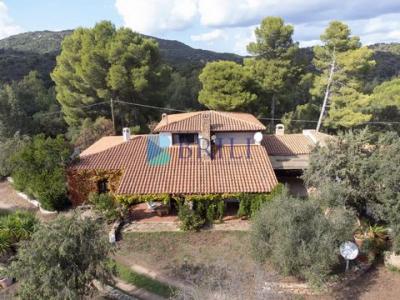 Acheter Maison 310 m2 Olbia