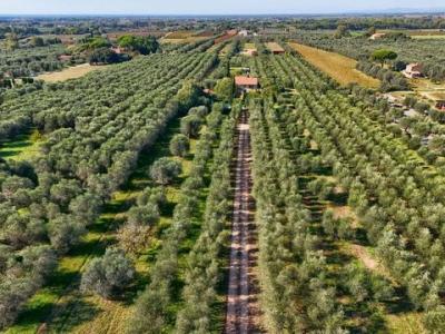 Acheter Maison Castagneto-carducci rgion LIVORNO
