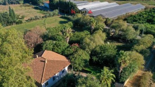 Vente Maison TORPE  NU en Italie