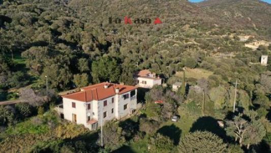 Acheter Maison Torpe rgion NUORO