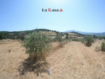 Acheter Maison Siniscola rgion NUORO