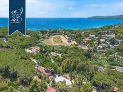 Acheter Maison 410 m2 Capoliveri