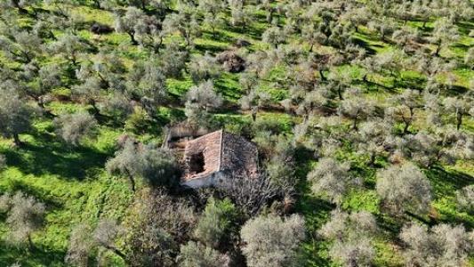 Annonce Vente Terrain Sassari